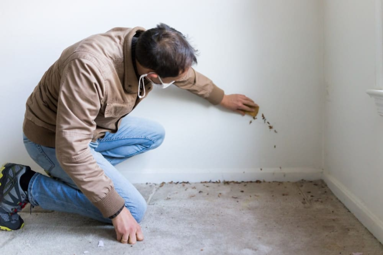 How to Prevent Mold and Mildew in Your Home: A Comprehensive Guide