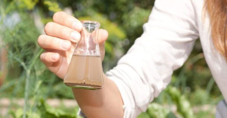 Why Testing Your Water Is the First Step Toward a Healthier Home